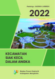 Kecamatan Siak Kecil Dalam Angka 2022